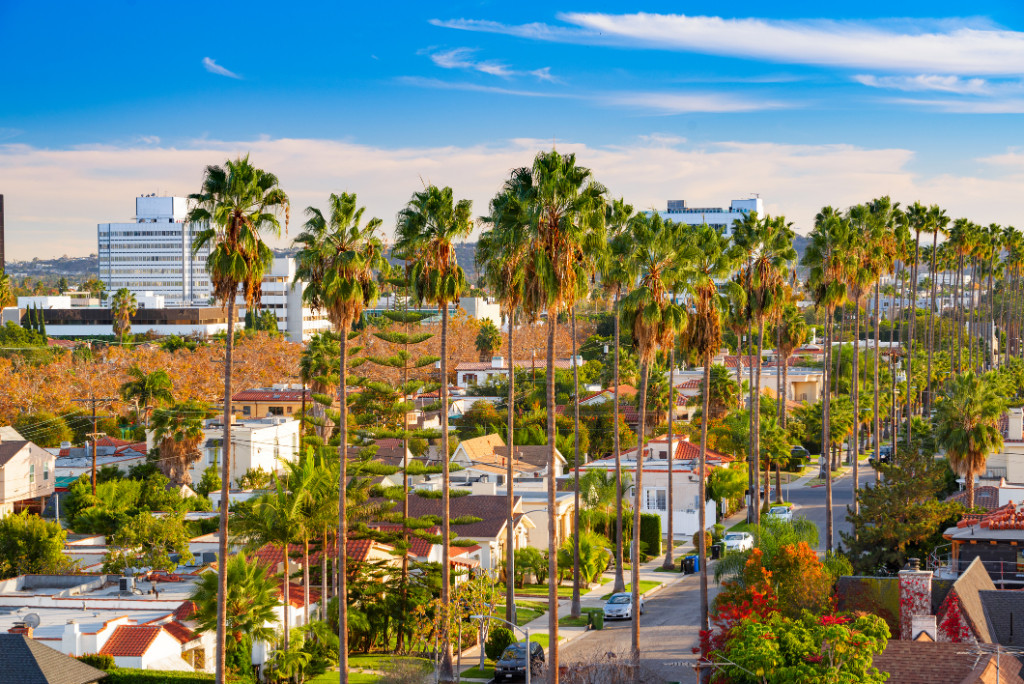 Beverly Hills, California, USA rooftop skyline view with focus on palm trees.